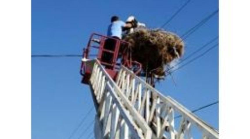 Yuvasından D&uuml;şen Leyleğe Şefkat Eli