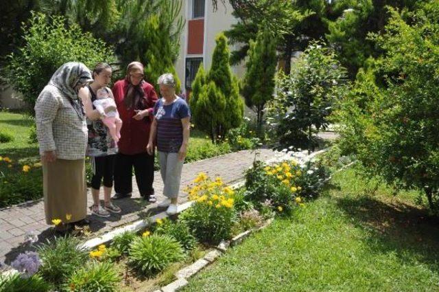 Ödüllü Yeşil Alandan Yol Geçirecekler