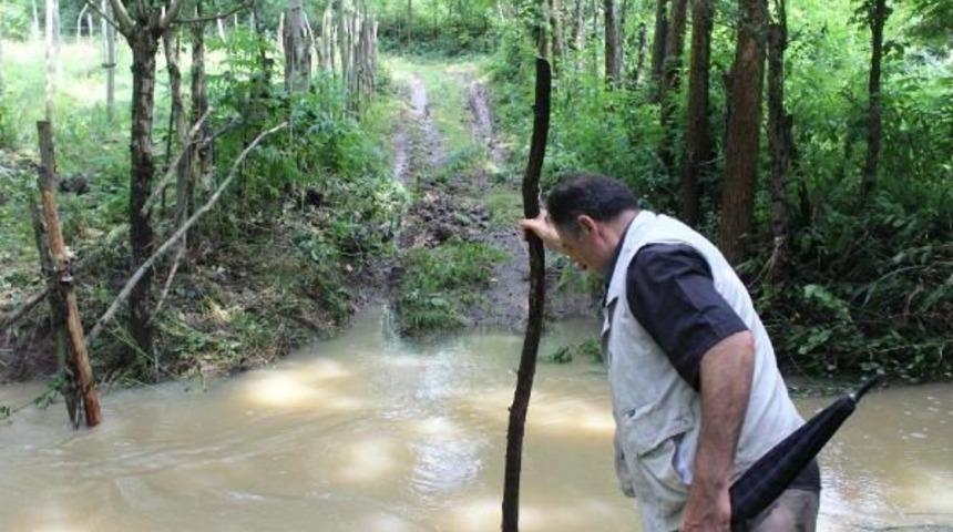 Hayvan Otlatmaya Giden 11 Yaşındaki &Ccedil;ocuk Derede Boğuldu