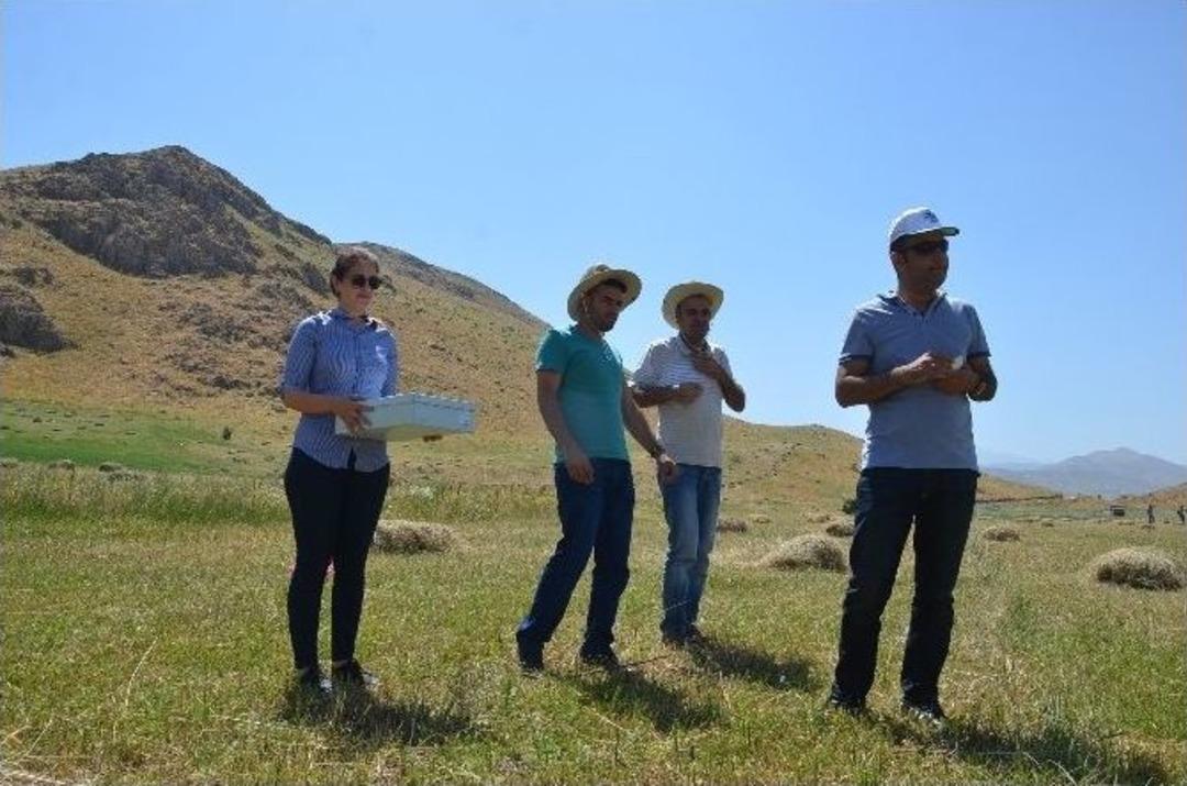 Gergedan B&ouml;ceği Doğaya Bırakıldı