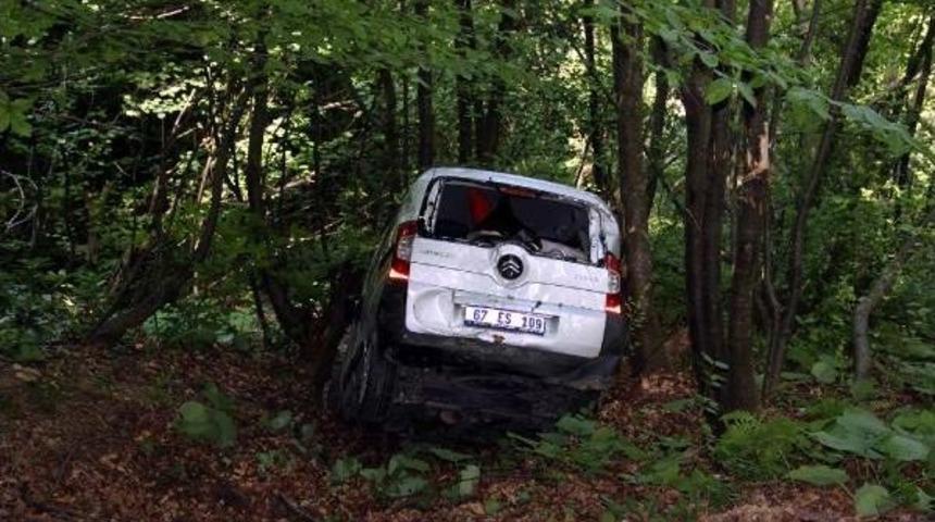 Arı Kazaya Yol A&ccedil;tı: 1 Yaralı