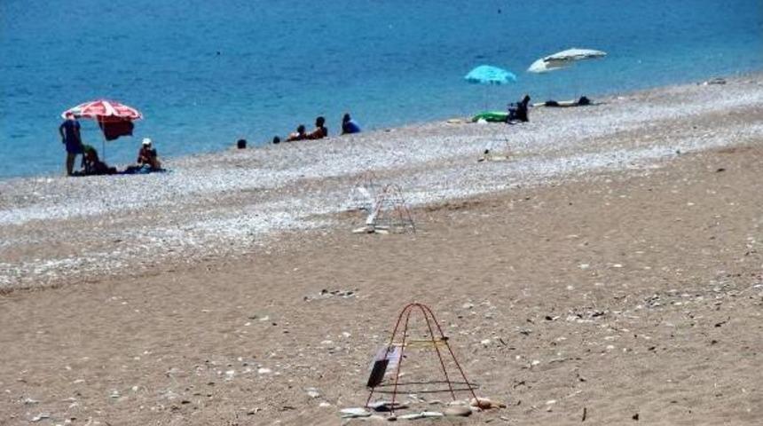 Caretta Carettalar Kamp&ccedil;ı Tehdidi Altında (2)