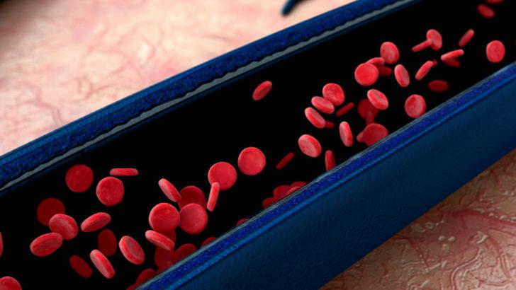 Damar sağlığınızı korumanın p&uuml;f nokları