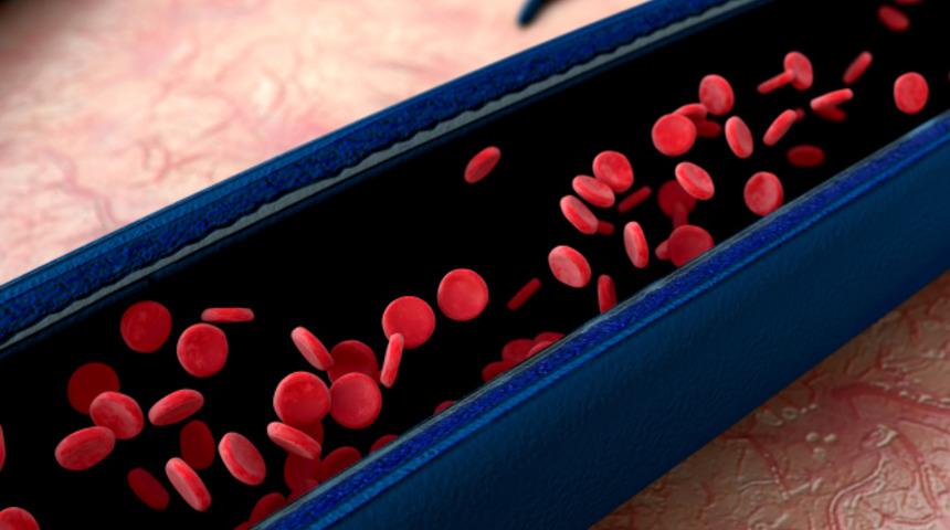 Damar sağlığınızı korumanın p&uuml;f nokları