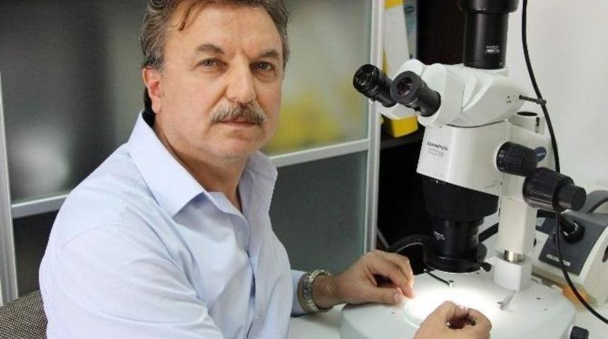 Prof. Dr. Tuncer: &ldquo;gergedan B&ouml;ceğinin Hi&ccedil;bir Maddi Değeri Yok&rdquo;