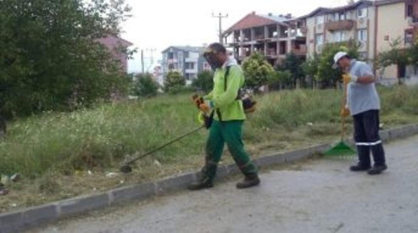 Mahallelerde &Ccedil;evre Temizliği &Ccedil;alışması Devam Ediyor
