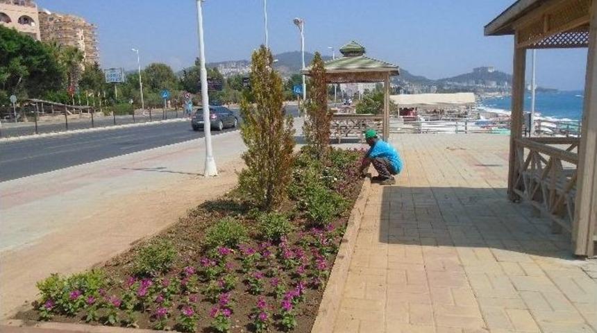 Alanya&rsquo;da Peyzaj Ve Bakım &Ccedil;alışmaları Devam Ediyor