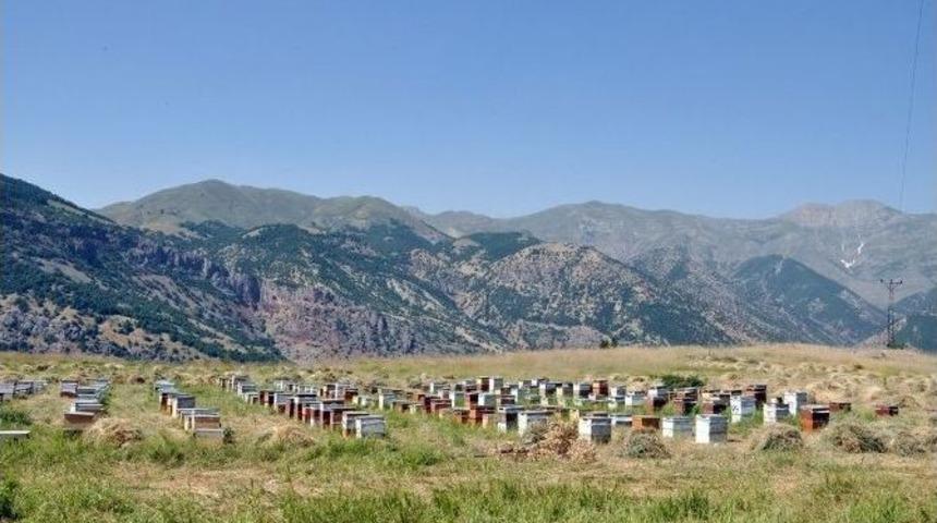Tuncelili Arıcılar İlde Pazar Bulamamaktan Şikayet&ccedil;i
