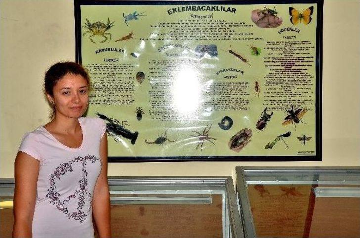 (özel Haber) Gergedan Böceğinin Bilinmeyenleri G2