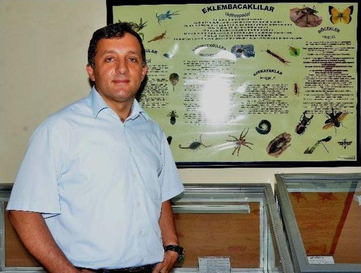 (özel Haber) Gergedan Böceğinin Bilinmeyenleri G4