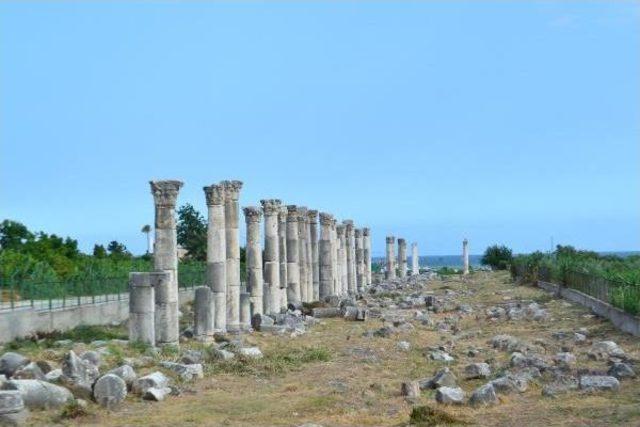 Soli Pompeiopolis Arkeolojik Kazısı Başlıyor