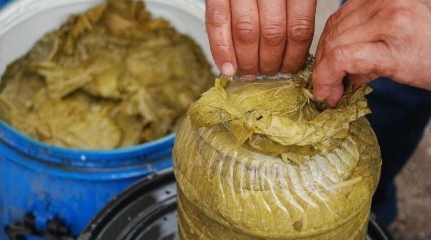 Tokat&rsquo;ta Bağ Yaprağı &Ouml;nemli Bir Pazar Oluşturuyor