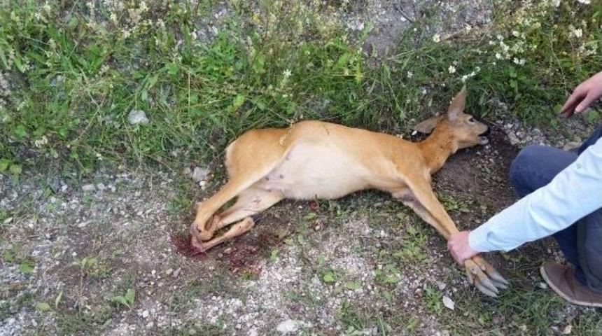 Otomobil Karacaya &Ccedil;arptı