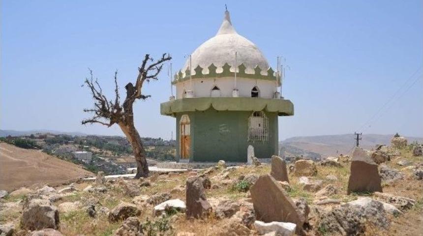 Şeyh T&uuml;rki T&uuml;rbesi İlgi Bekliyor