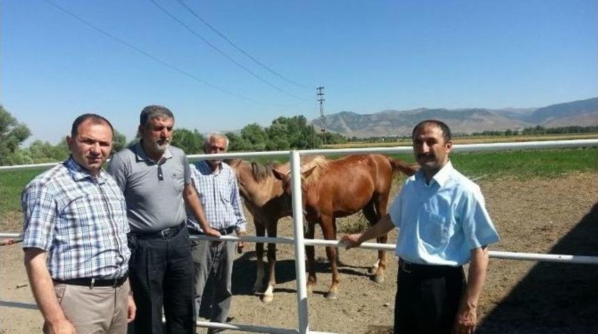 Muş&rsquo;ta Buğday Ve &Ccedil;iftlikler İncelendi