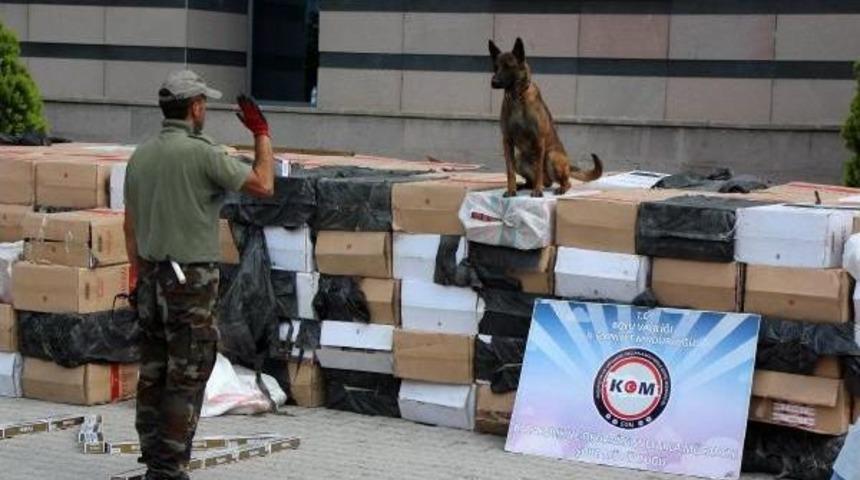 Sahte M&uuml;h&uuml;rl&uuml; Tır'dan Ka&ccedil;ak Sigara &Ccedil;ıktı