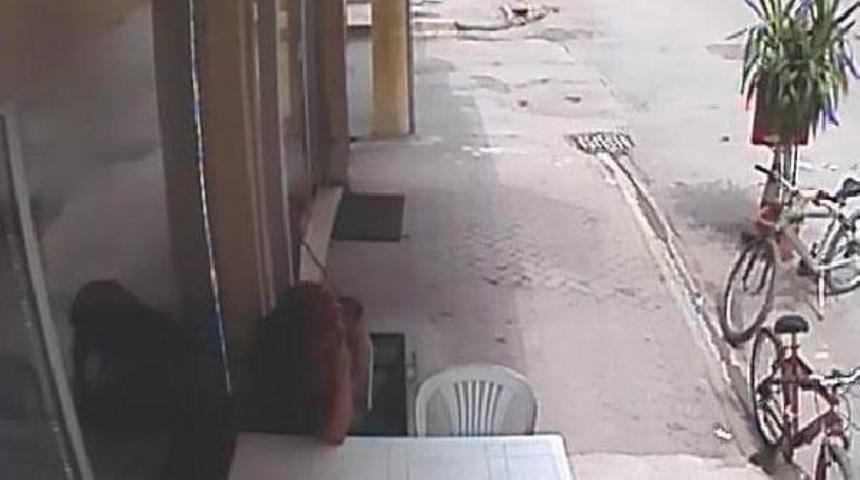 Kedi K&ouml;peğe Saldırdı, K&ouml;peğin Sahibi Korku Dolu Anlar Yaşattı