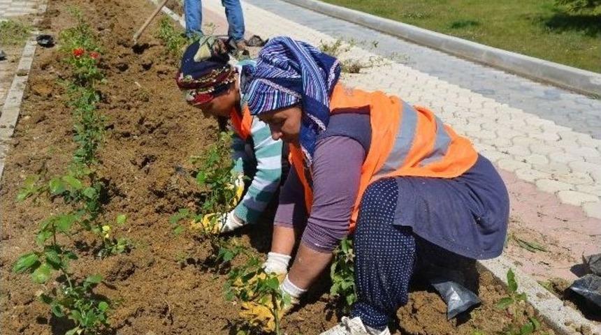 Daha Yeşil Bir Boz&uuml;y&uuml;k İ&ccedil;in &Ccedil;alışmalar S&uuml;r&uuml;yor