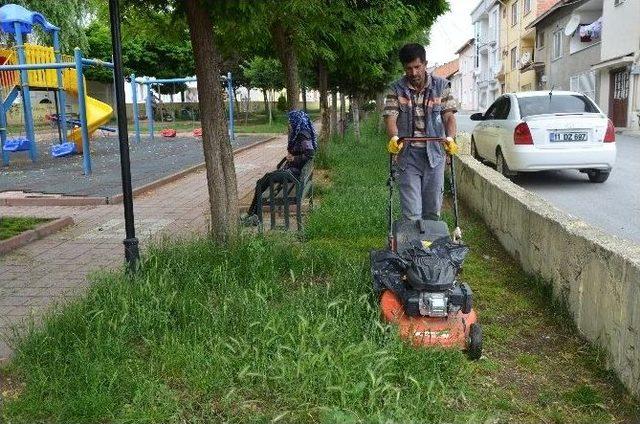 Daha Yeşil Bir Bozüyük İçin Çalışmalar Sürüyor