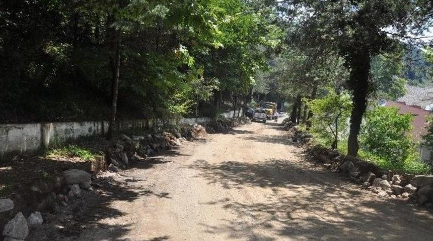 Alaplı Belediyesi Plajı Onarıyor