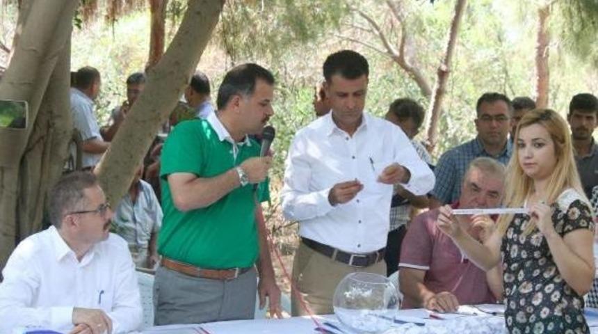 Ormanda Satılacak 31 Parsel I&ccedil;in 1283 Başvuru