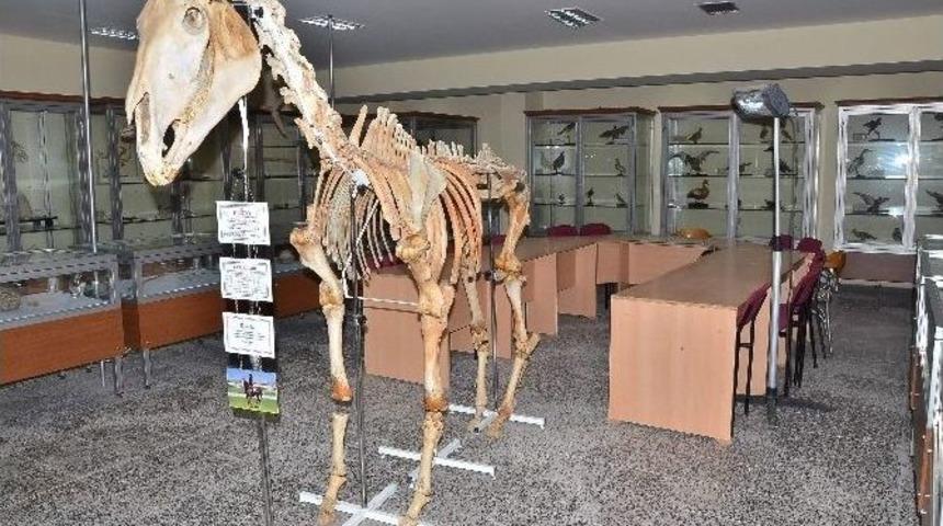 (&ouml;zel Haber) Vefanın B&ouml;ylesi