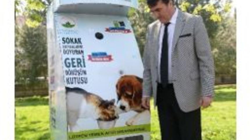 Sıcak Yaz G&uuml;nlerinde Hayvanlar Unutulmadı