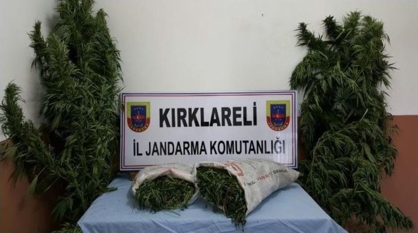 Kırklareli&rsquo;de 8 Kilo Esrar Ele Ge&ccedil;irildi