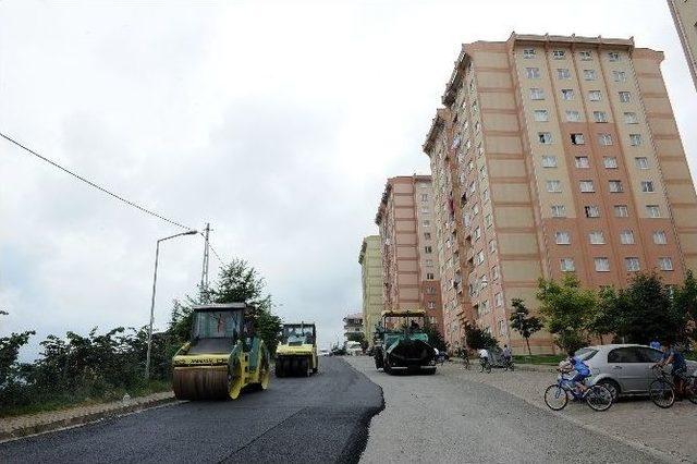 Yıldızlı Toki Konutlarının Yolu Asfaltlanıyor