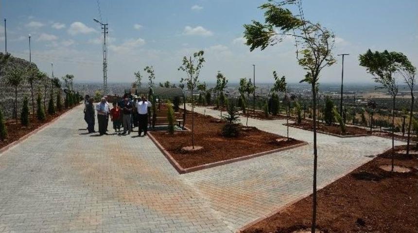 Başkan Kara, Şeyh Muhamed Bedevi Türbesine Yapılan Mesire Alanını Gezdi