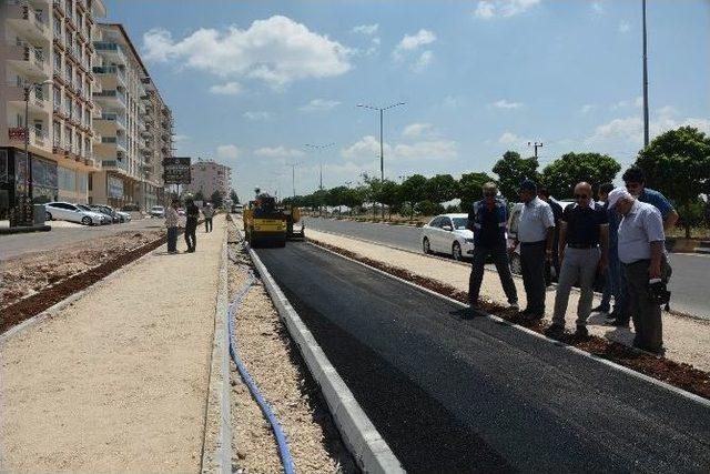 Başkan Kara, Yürüyüş Ve Bisiklet Yolu Çalışmalarını İnceledi