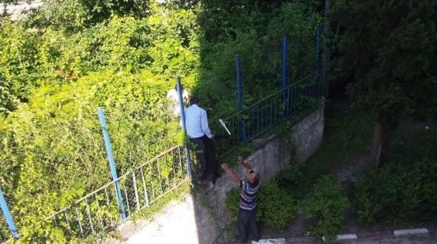 Kanala D&uuml;şen K&ouml;pek 2 G&uuml;n Sonra Kurtarıldı