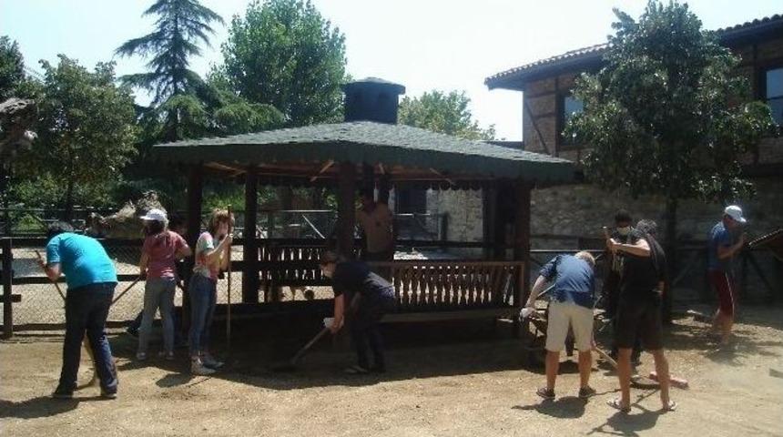 Amerikalı &Ouml;ğrenciler &Ouml;nce Gezdi, Sonra Temizledi