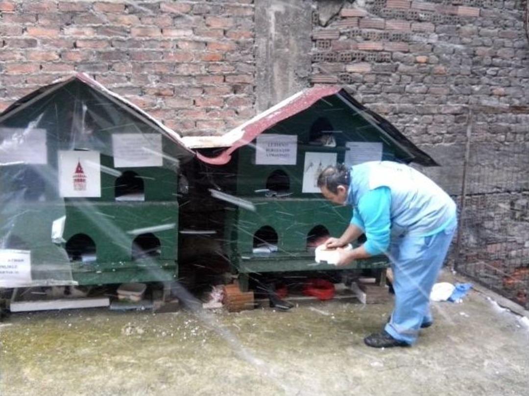 Beyoğlu Belediyesi Sokak Hayvanları İ&ccedil;in Seferber