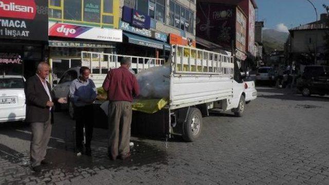 Dağdan Getirdikleri Karı Kent Merkezinde Satıyorlar