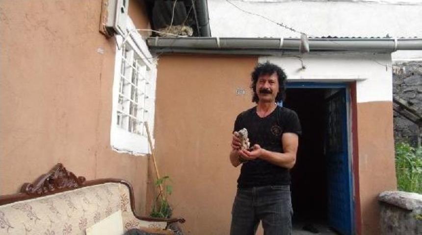 Yaralı Yavru Kerkenezleri Evinde Ciğerle Besledi