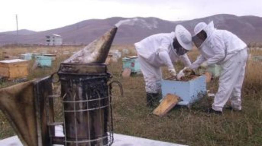 Ardahan’da Kovan Ve Arı Hırsızlıklarına Arıcılardan Tepki