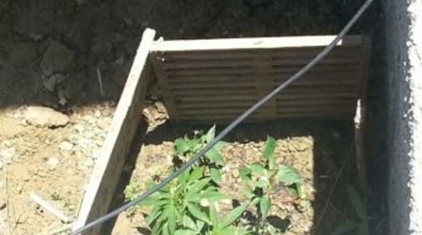 Jandarmanın Ş&uuml;phesi Su&ccedil;luyu Yakalattı