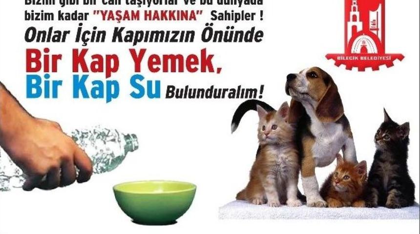 Bilecik Belediyesi&rsquo;nden Duyarlılık &Ccedil;ağrısı