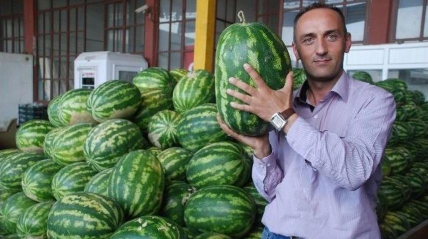 Tokat&rsquo;ta Karpuz 40 Kuruş