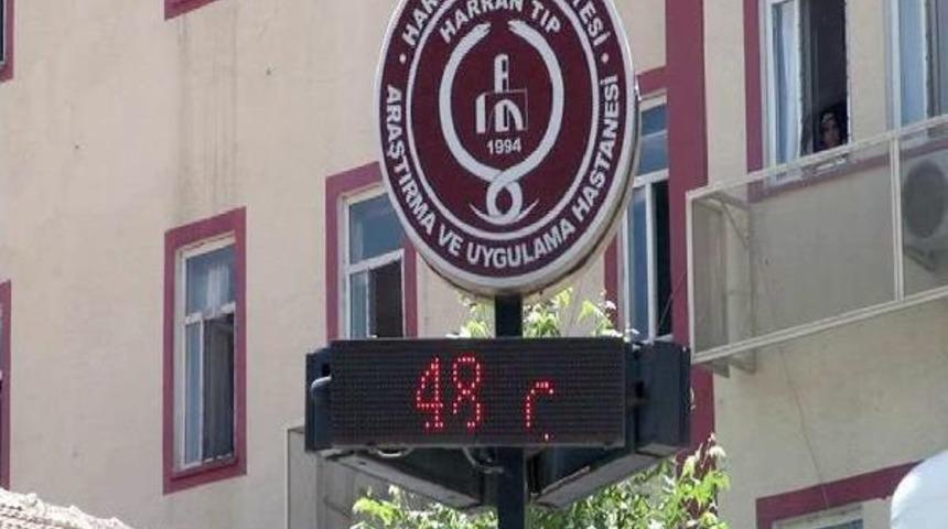 Şanlıurfa; G&uuml;nd&uuml;z Bomboş, Gece Cıvıl Cıvıl