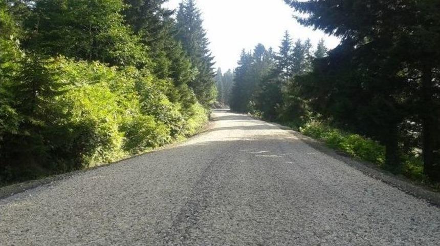 Dokap Başkanı "yeşil Yol"u Savundu