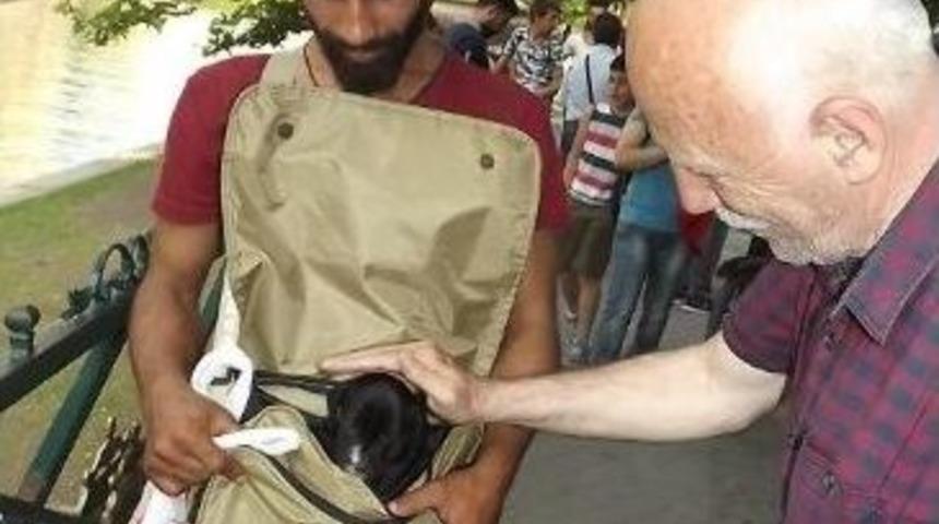 &Ccedil;antada K&ouml;pek