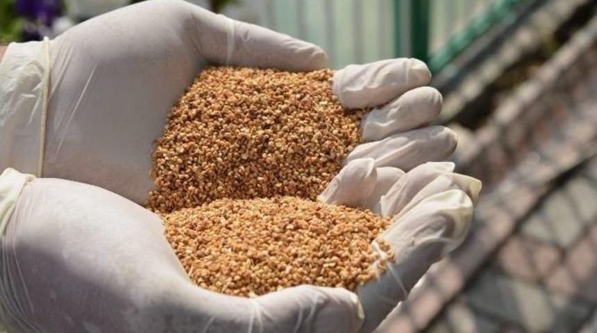 Kayseri Şeker Fabrikasında &Ccedil;evreci Larvasitlerle Biyolojik M&uuml;cadele Başlatıldı