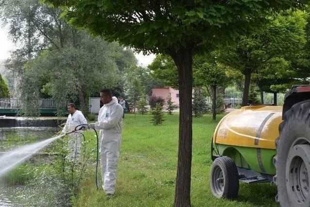 Kayseri Şeker Fabrikasında Çevreci Larvasitlerle Biyolojik Mücadele Başlatıldı