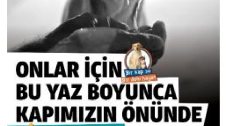 Sokak Hayvanları İ&ccedil;in Bir Kap Su Kampanyası