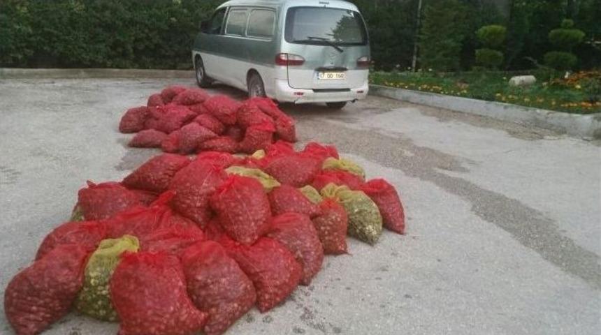 Jandarma Ekipleri Midye Ka&ccedil;ak&ccedil;ılarına G&ouml;z A&ccedil;tırmıyor