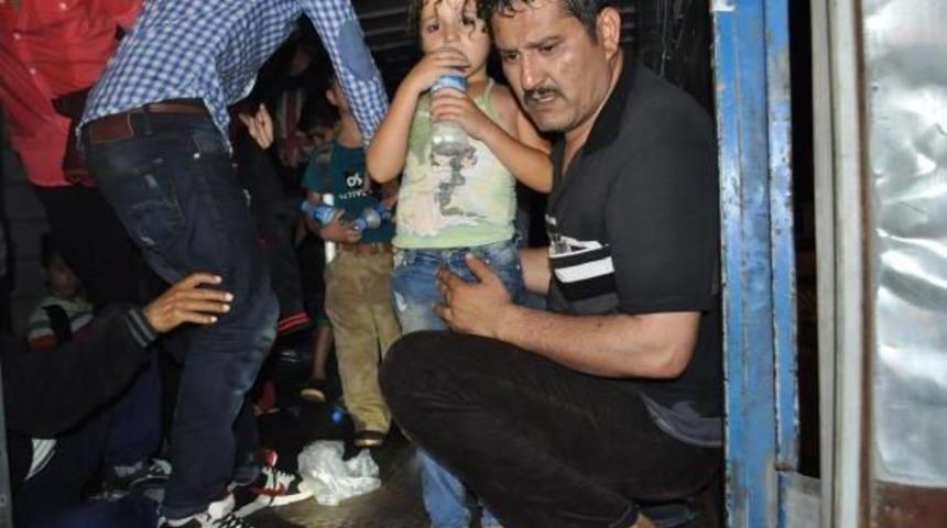 Havasızlıktan &Ouml;lmek &Uuml;zere Olan Ka&ccedil;aklar Son Anda Kurtarıldı