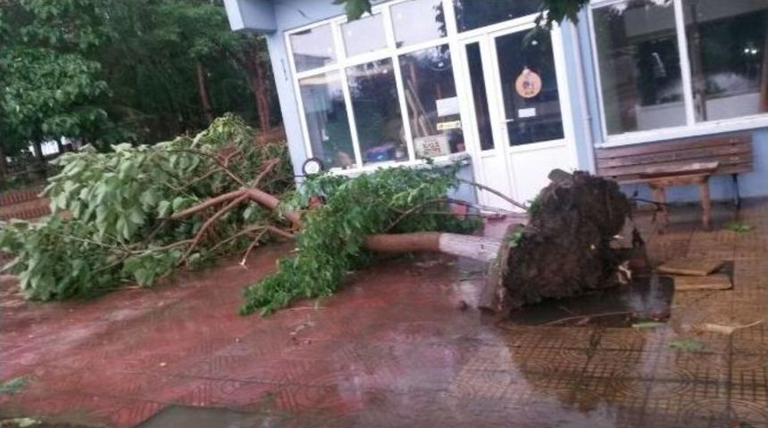 Tekirdağ&rsquo;da Dolu Ve Hortum Dehşeti