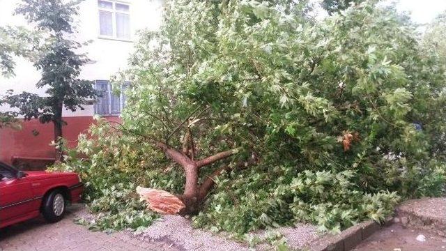 Tekirdağ’da Dolu Ve Hortum Dehşeti